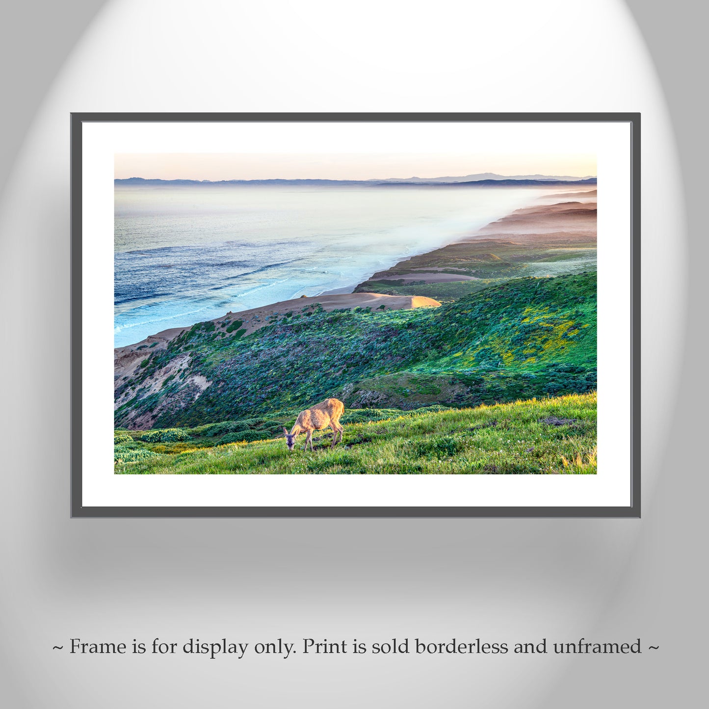 Point Reyes California Coast Art Print with Wild Deer – Marin County Wildlife Photography at Serene Pacific Ocean