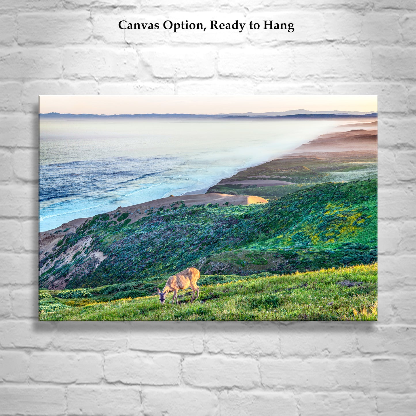 Point Reyes California Coast Art Print with Wild Deer – Marin County Wildlife Photography at Serene Pacific Ocean