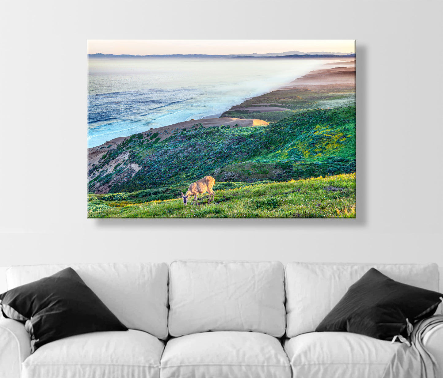 Point Reyes California Coast Art Print with Wild Deer – Marin County Wildlife Photography at Serene Pacific Ocean