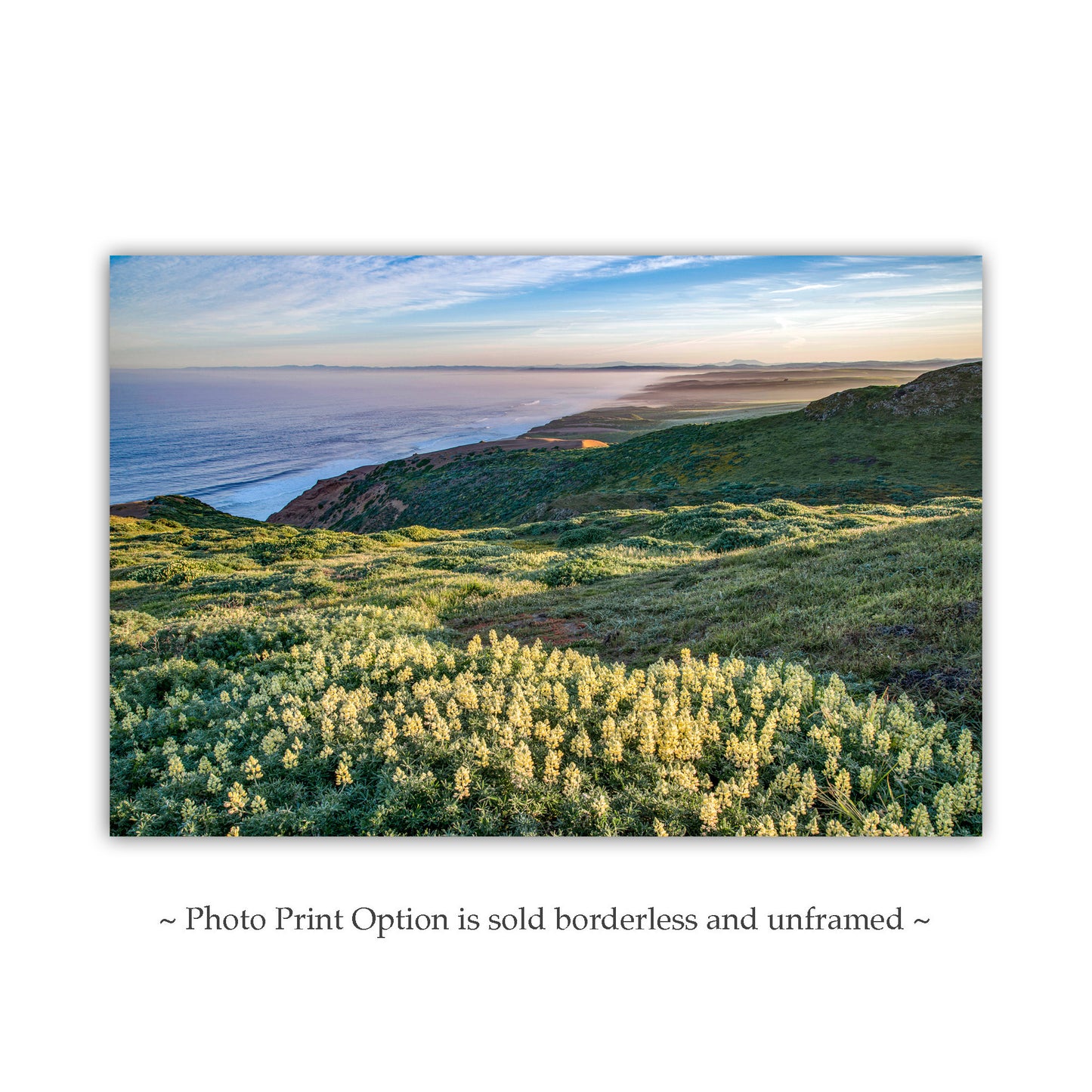 Point Reyes Marin County Art at California Coast with Wildflowers | Pacific Ocean Seascape Photo Gift