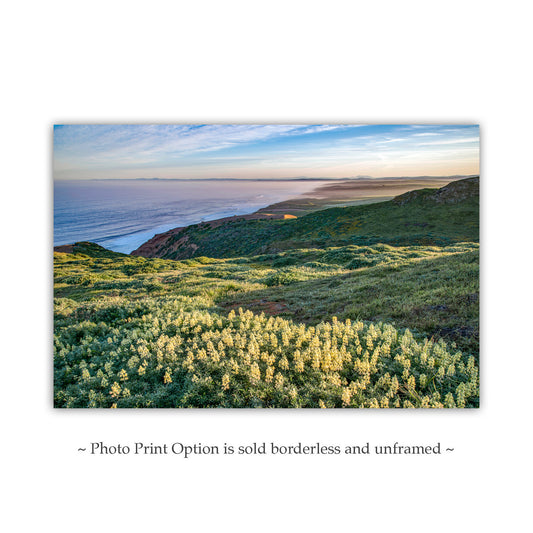 Marin County Seascape Art | Point Reyes Wildflower Wall Print