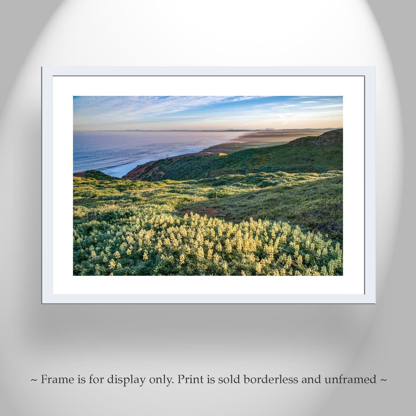 Point Reyes Marin County Art at California Coast with Wildflowers | Pacific Ocean Seascape Photo Gift