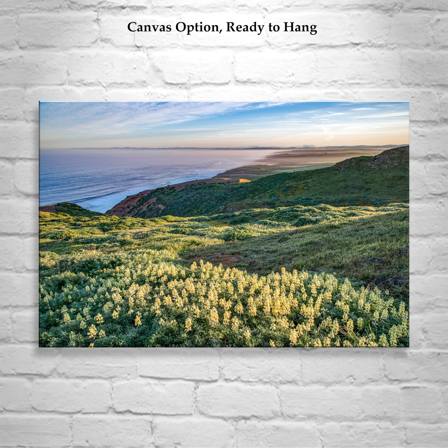 Point Reyes Marin County Art at California Coast with Wildflowers | Pacific Ocean Seascape Photo Gift