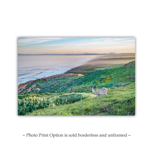 Point Reyes Pacific Ocean Seascape Art | Marin County Print