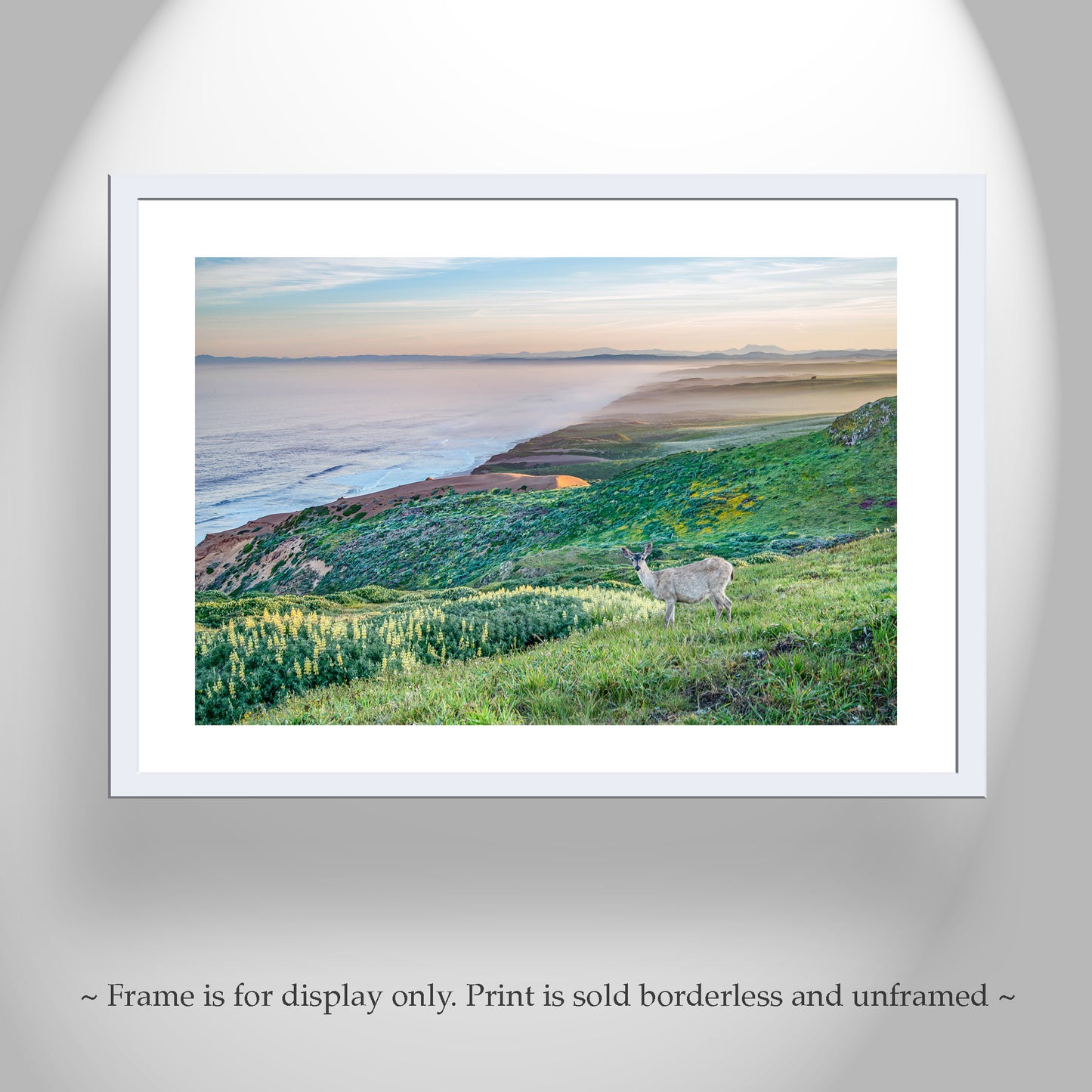 Point Reyes Marin County California Coast Art Print with Wild Deer | Ocean Seascape Wall Decor Gift for Home or Office