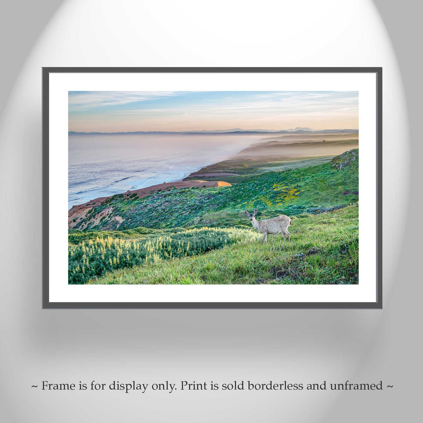 Point Reyes Marin County California Coast Art Print with Wild Deer | Ocean Seascape Wall Decor Gift for Home or Office