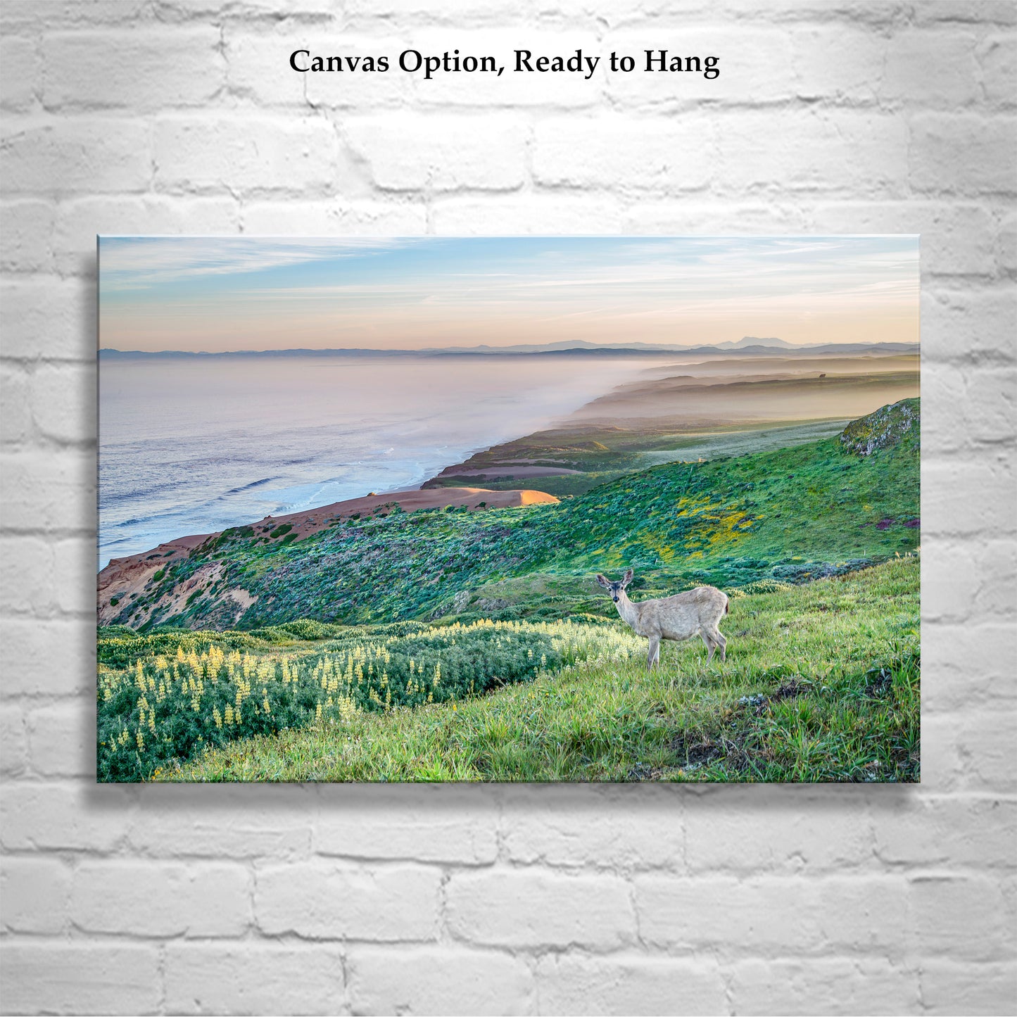 Point Reyes Marin County California Coast Art Print with Wild Deer | Ocean Seascape Wall Decor Gift for Home or Office