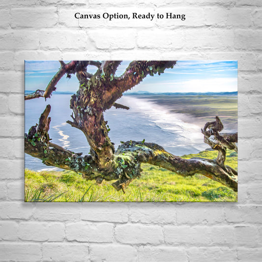 Point Reyes National Seashore California Ocean Photography