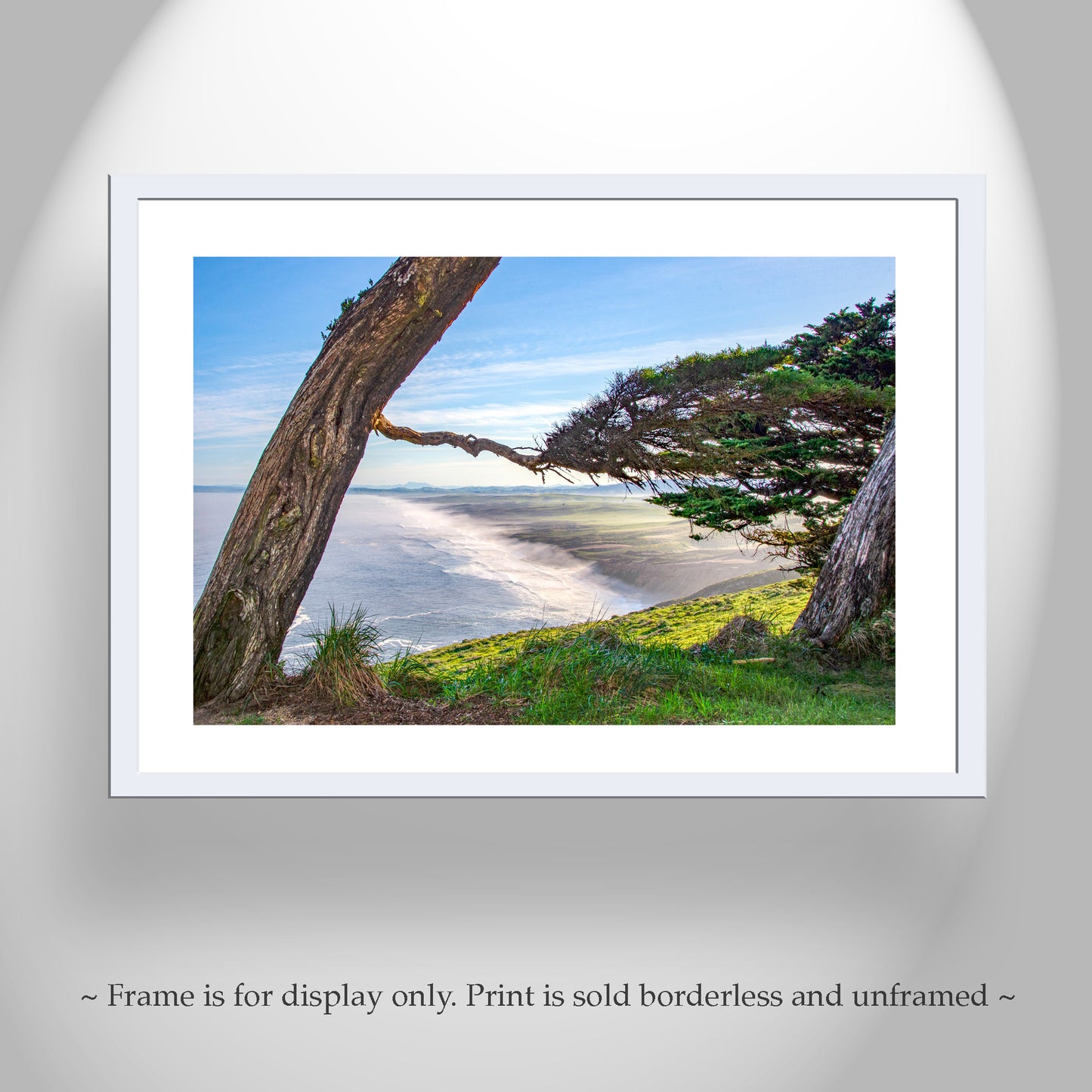 Point Reyes California Wall Art with Monterey Cypress Tree Silhouette | Marin County Gift