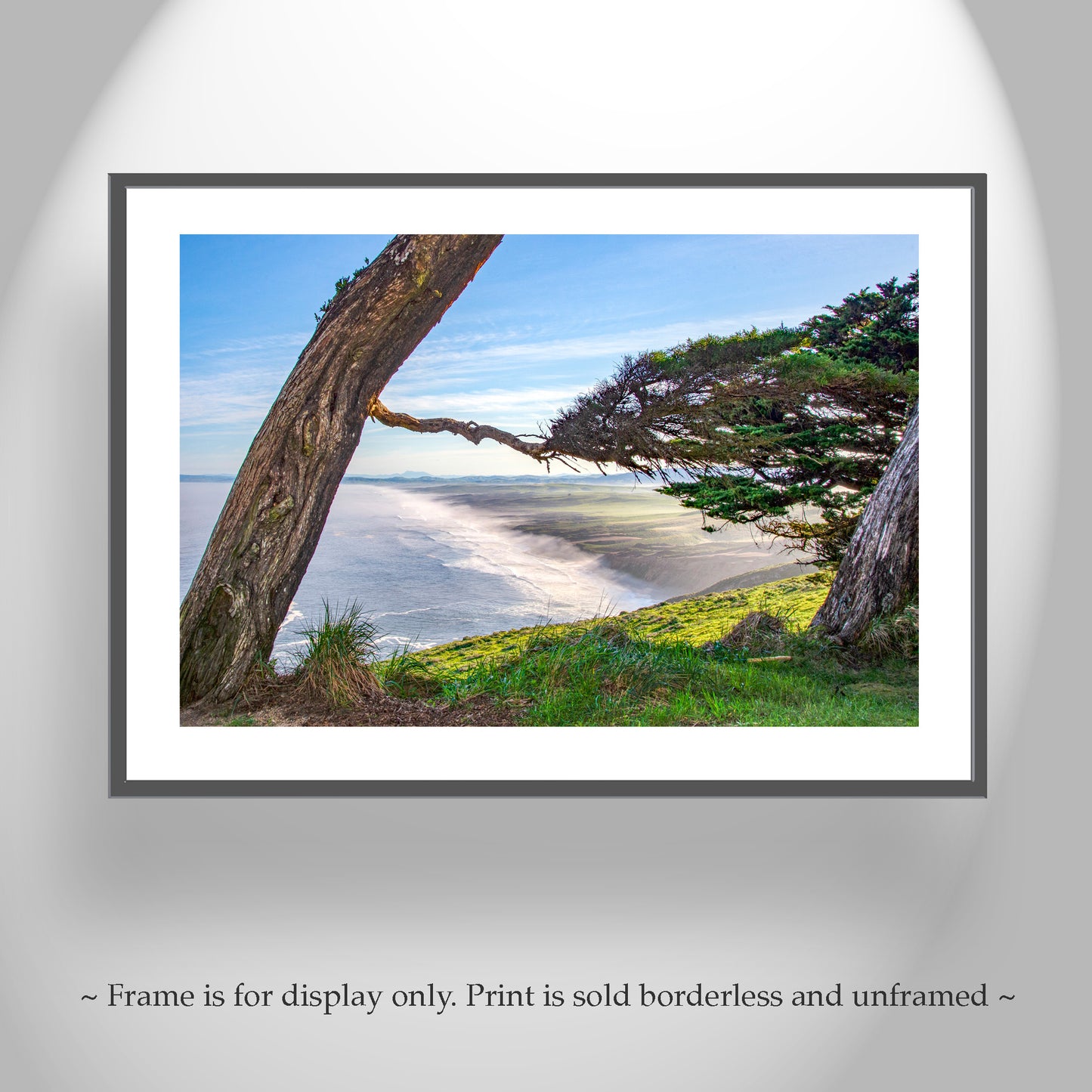 Point Reyes California Wall Art with Monterey Cypress Tree Silhouette | Marin County Gift