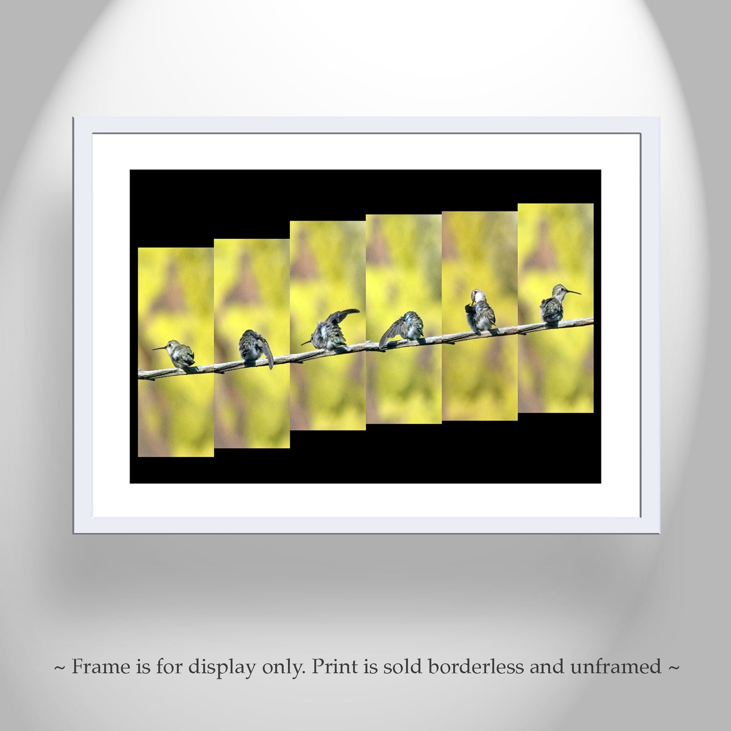 Hummingbird Photograph as Bold Vibrant Nature Decor