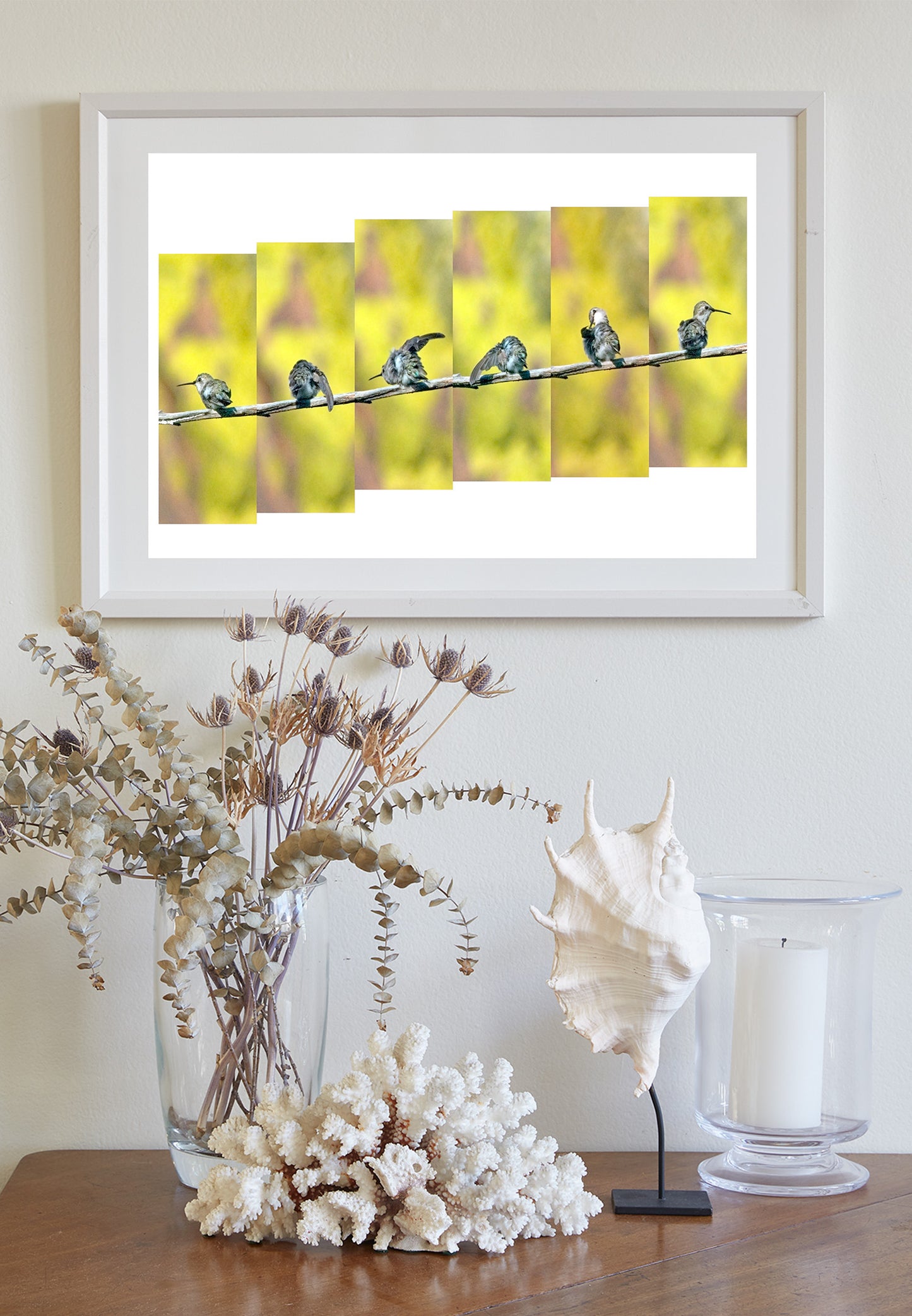 Hummingbird Photography as Bright Bird Art Nature Decor