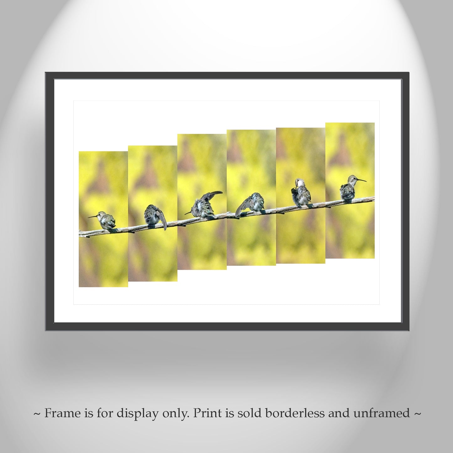 Hummingbird Photography as Bright Bird Art Nature Decor