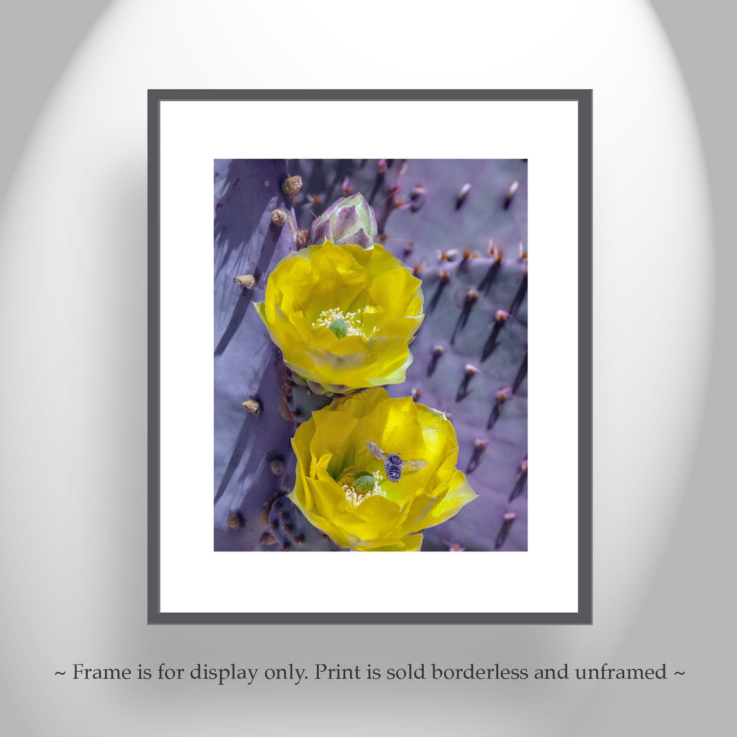 Prickly Pear Cactus as Purple and Yellow Desert Botanical Art Print