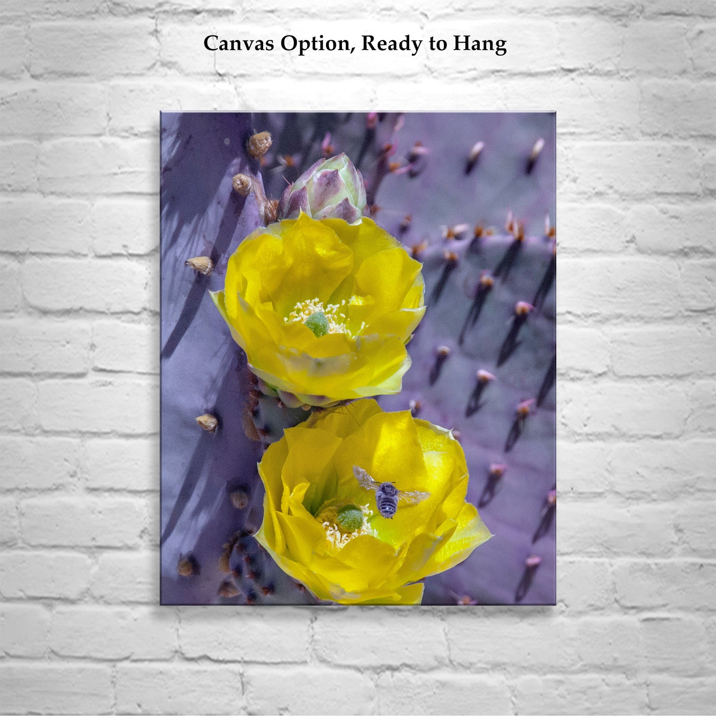 Prickly Pear Cactus as Purple and Yellow Desert Botanical Art Print