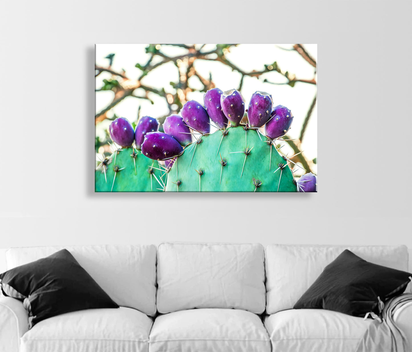 Prickly Pear Cactus Fruit Picture | Southwestern Wall Decor