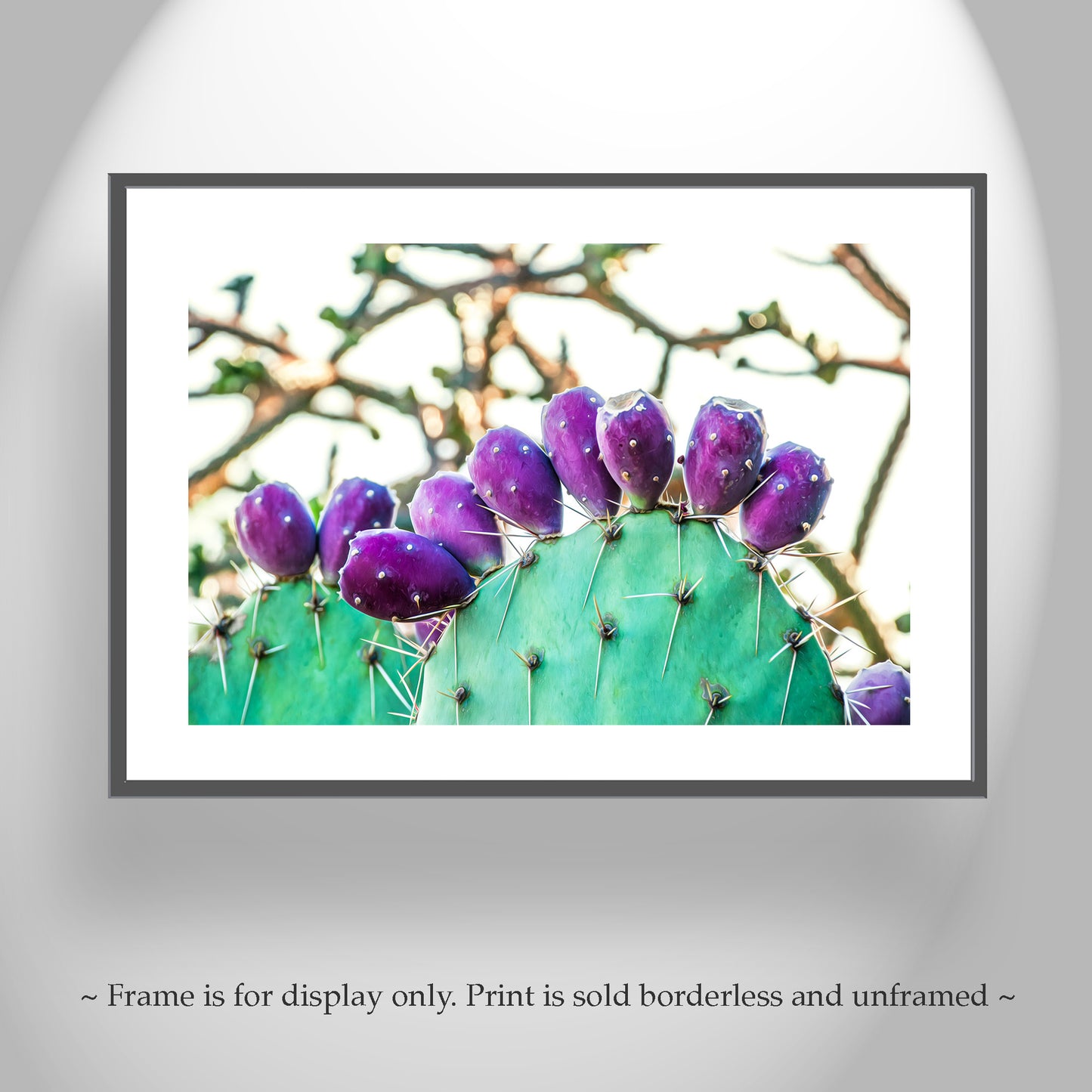 Prickly Pear Cactus Fruit Picture | Southwestern Wall Decor