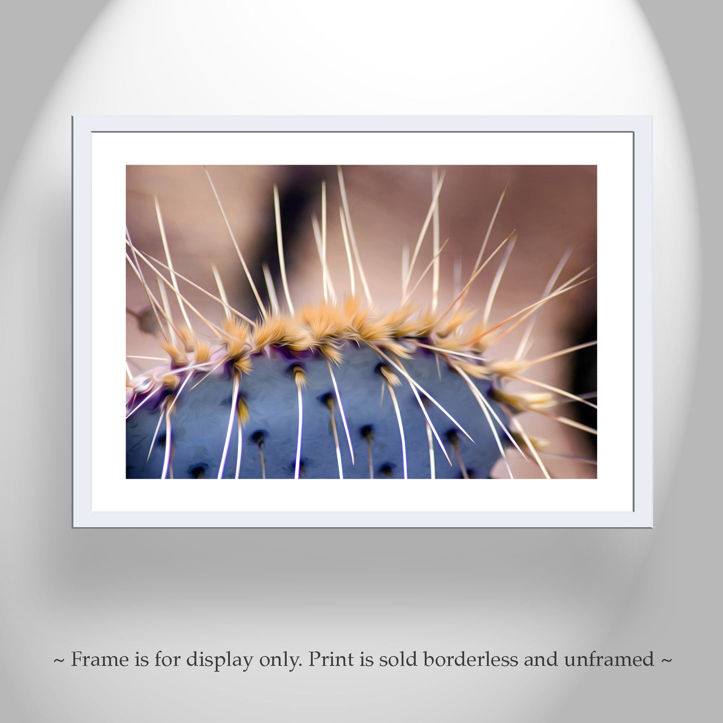 Blue Prickly Pear Cactus Photograph as Desert Botanical Artwork