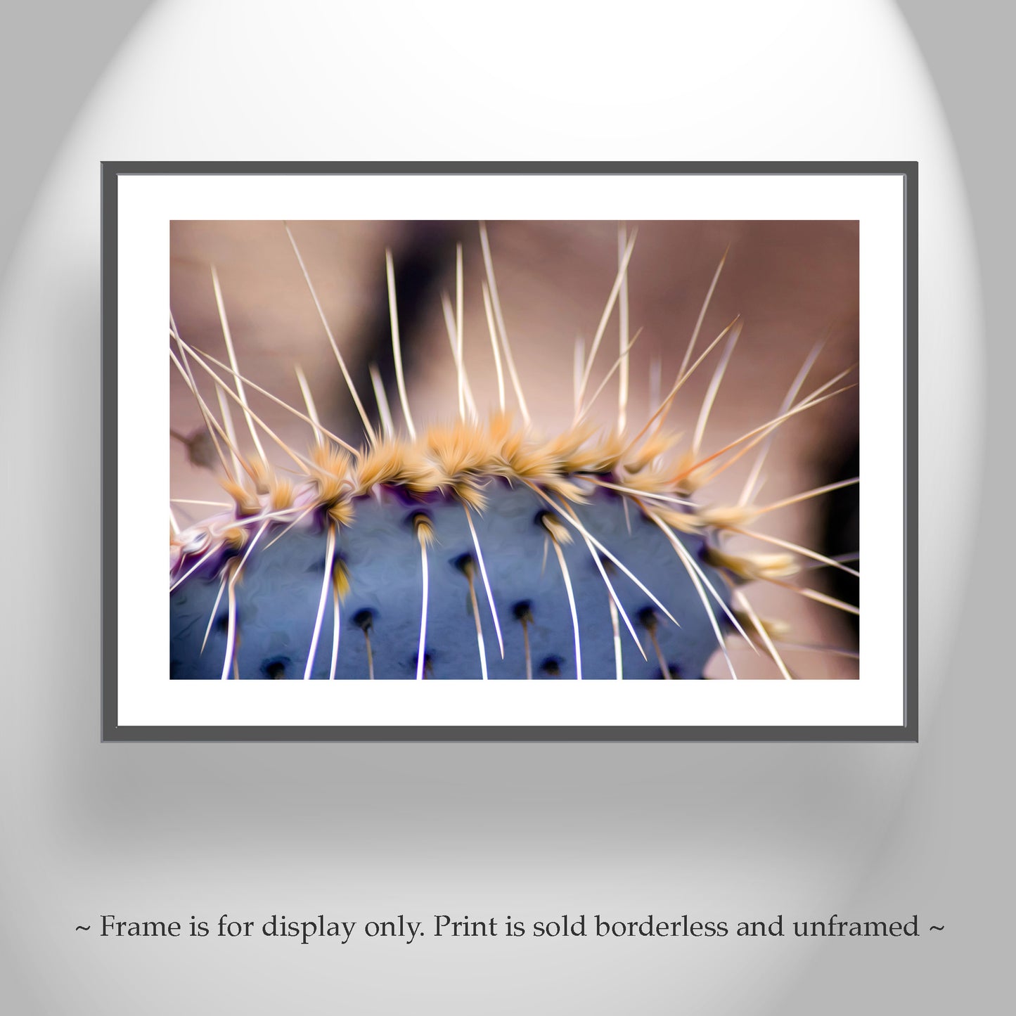 Blue Prickly Pear Cactus Photograph as Desert Botanical Artwork
