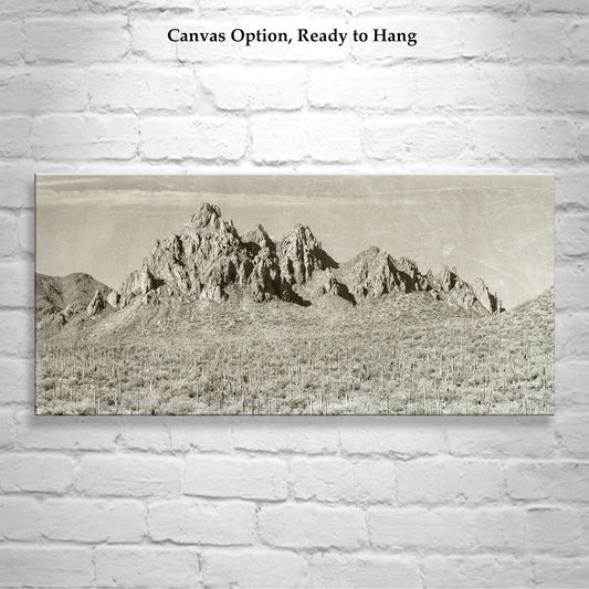Ragged Top Peak in Vintage Desert Sepia Style – Ironwood Forest Tucson Az