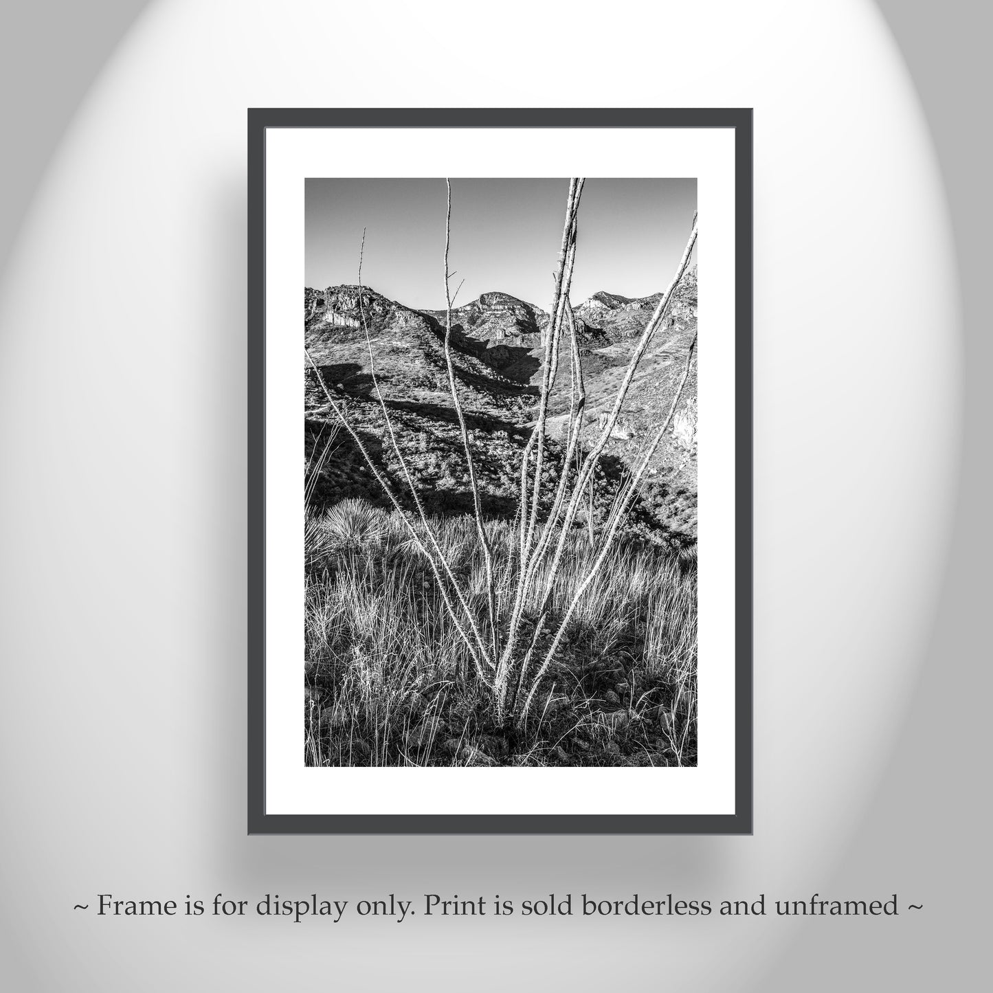 Ramanote Canyon Black and White Arizona Landscape Art with Ocotillo