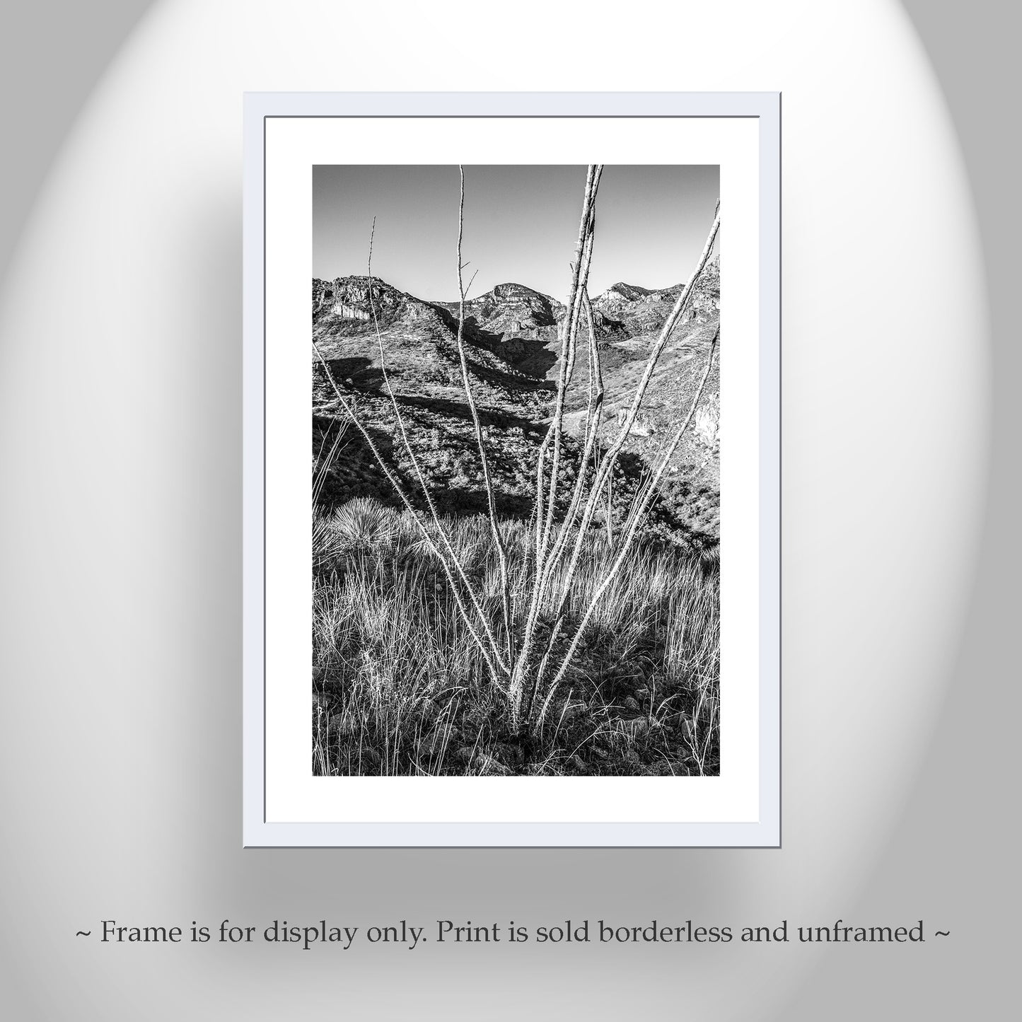 Ramanote Canyon Black and White Arizona Landscape Art with Ocotillo