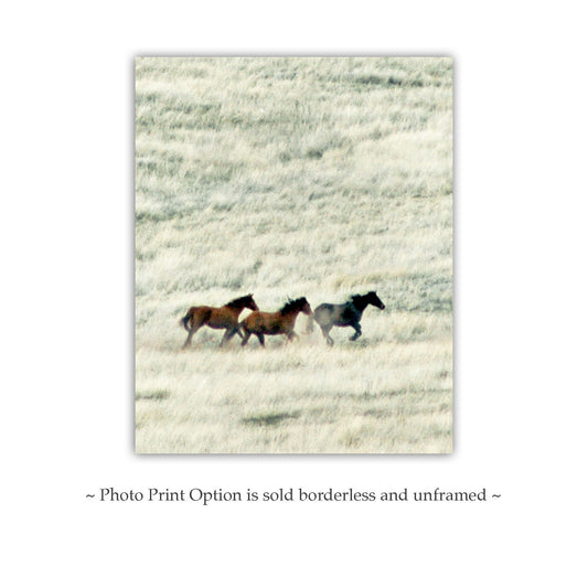 Horse Art | San Rafael Valley Arizona Ranch Prairie Grasslands Landscape