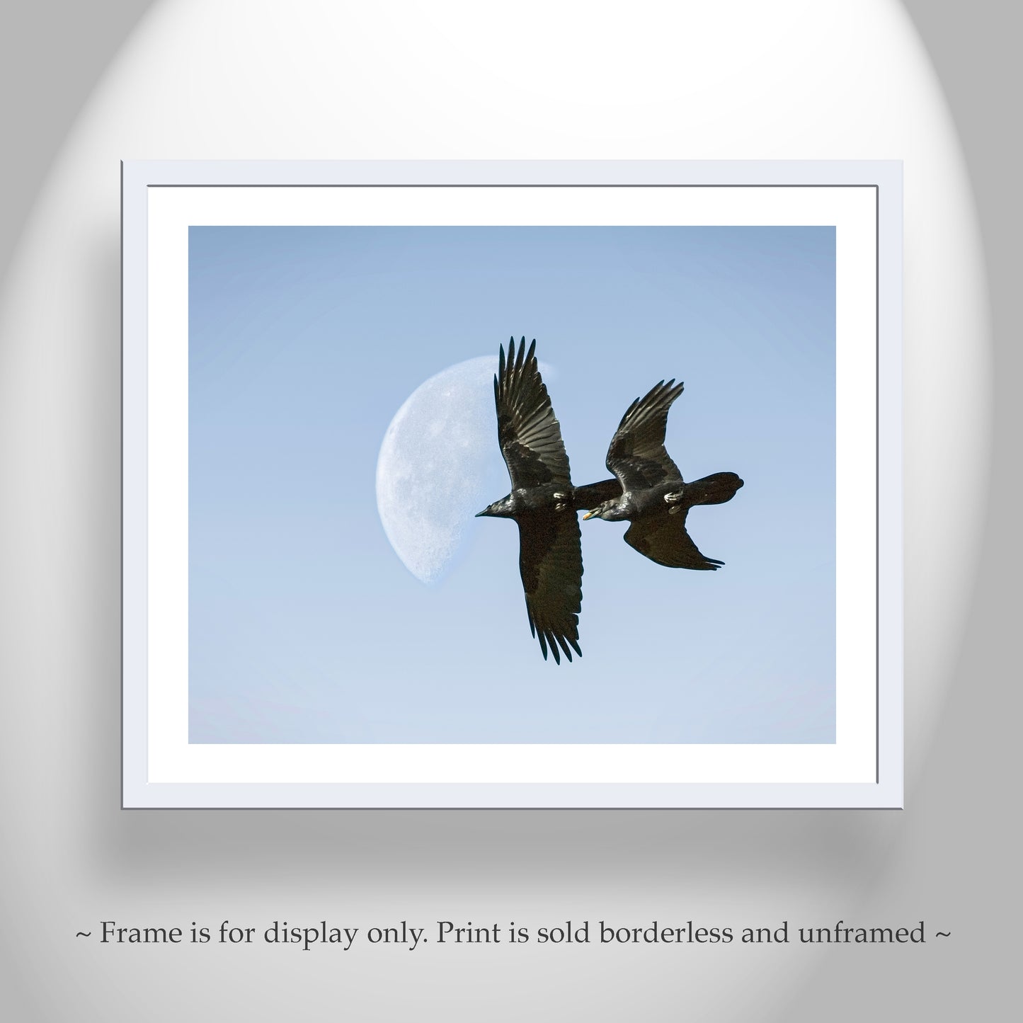 Flying Raven Artwork with Moon as Arizona Bird Wall Decor