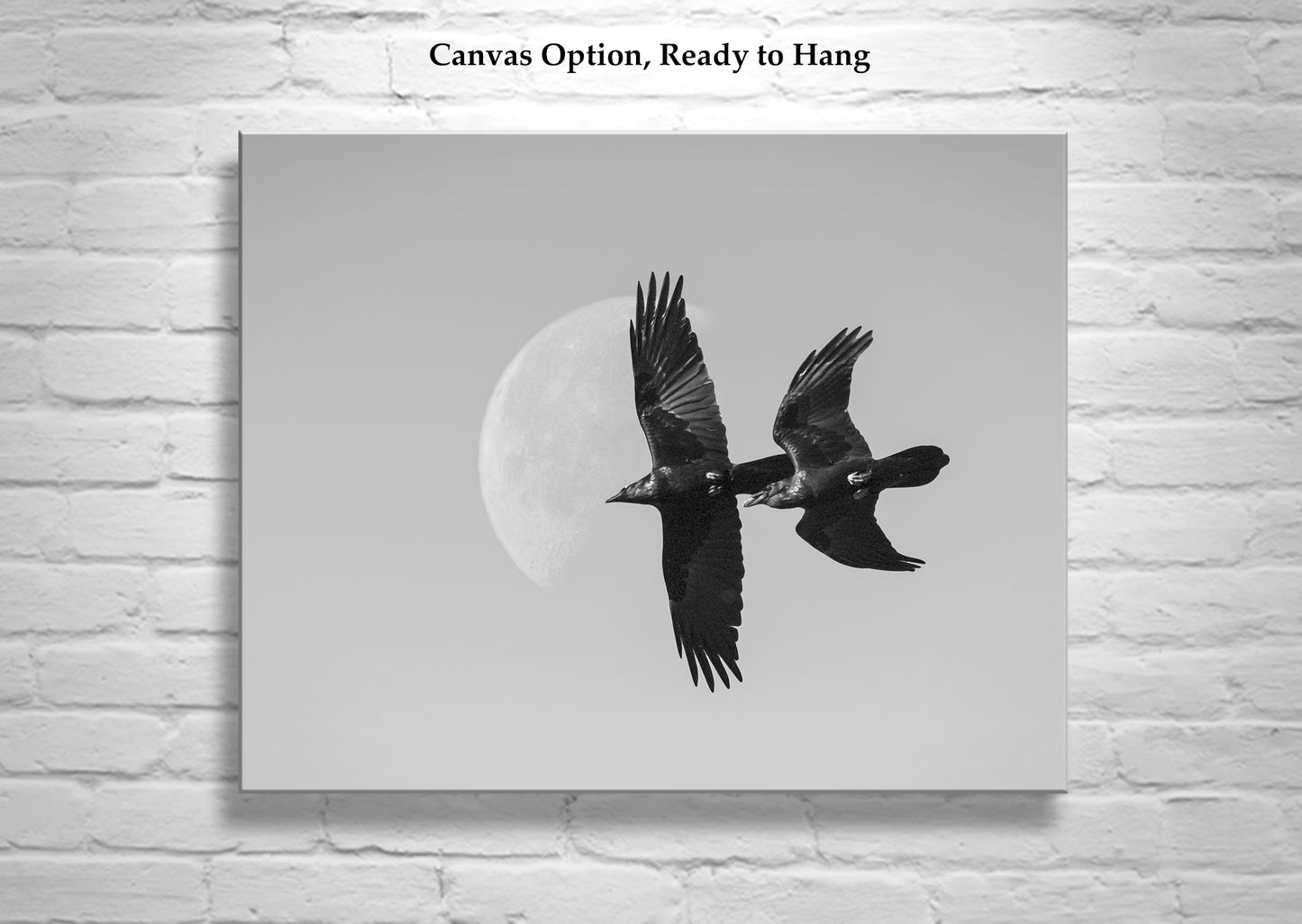 Flying Raven Picture with Desert Moon in Black and White