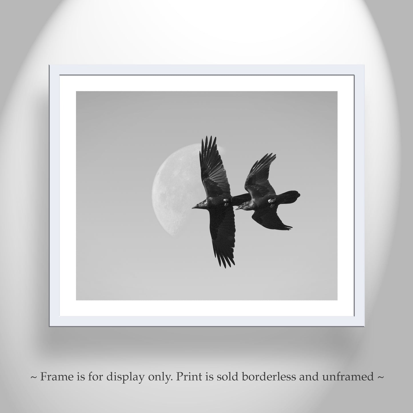 Flying Raven Picture with Desert Moon in Black and White