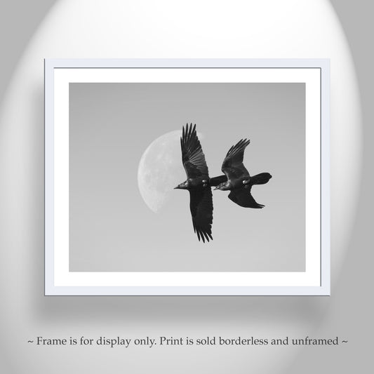 Flying Raven with Desert Moon | Black and White Bird Art Print