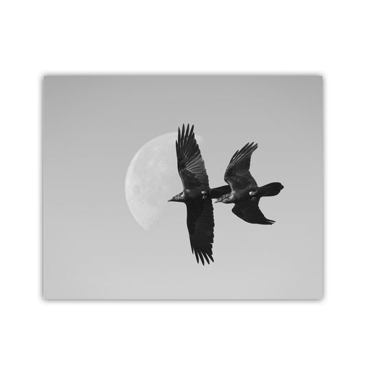 Two black birds fly in opposite directions against a backdrop of a full moon. Flying Raven with Desert Moon | Black and White Bird Art Print