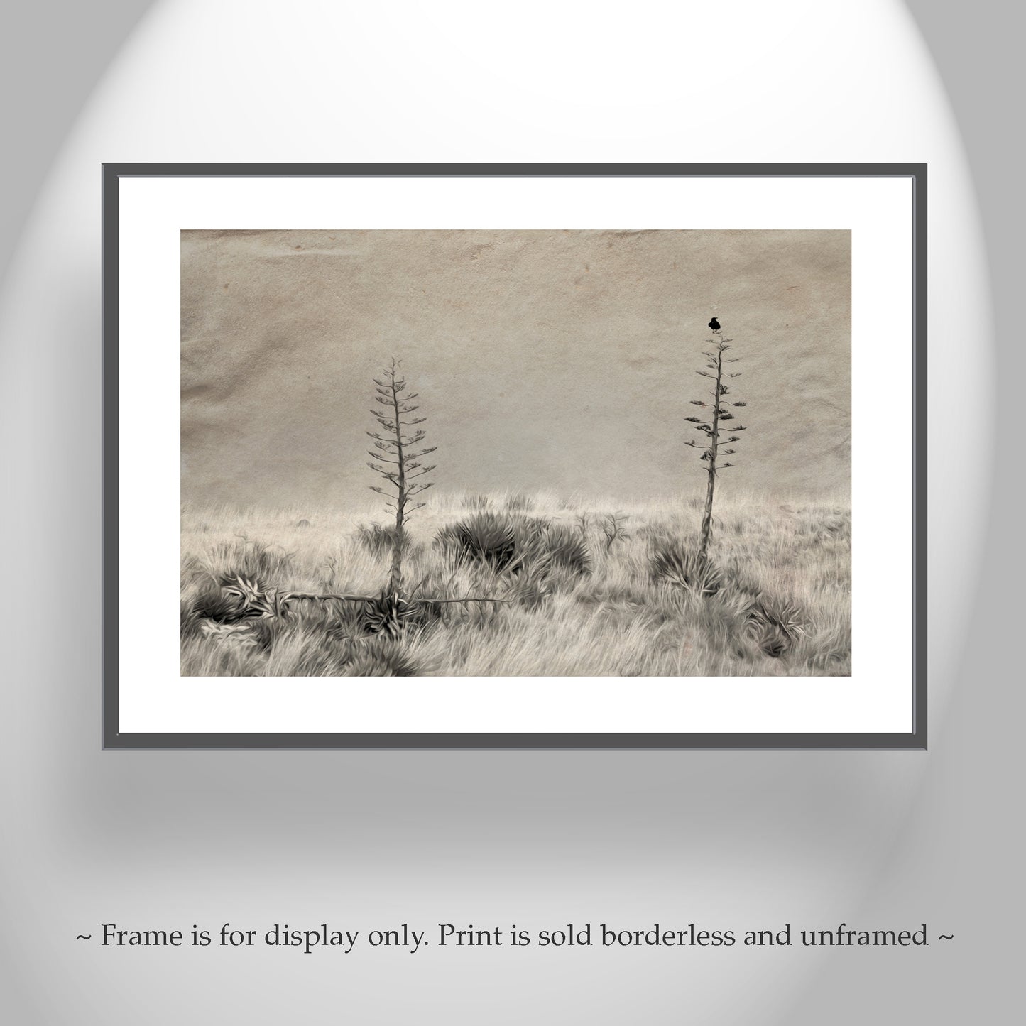 Fine Art Surreal Raven Bird Art with Southwestern Century Plant Agave