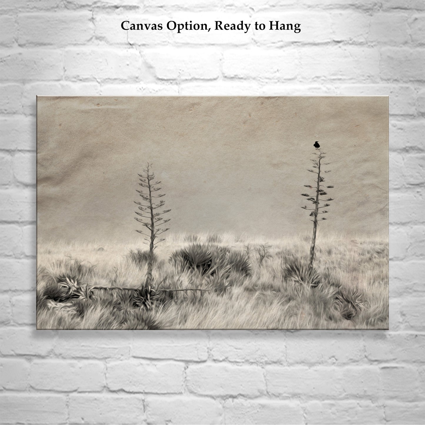 Fine Art Surreal Raven Bird Art with Southwestern Century Plant Agave
