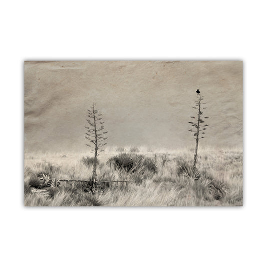A sepia photograph depicting two small trees in a field, with a bird perched on one of the trees. Surreal Raven Bird Art with Southwestern Century Plant Agave Print