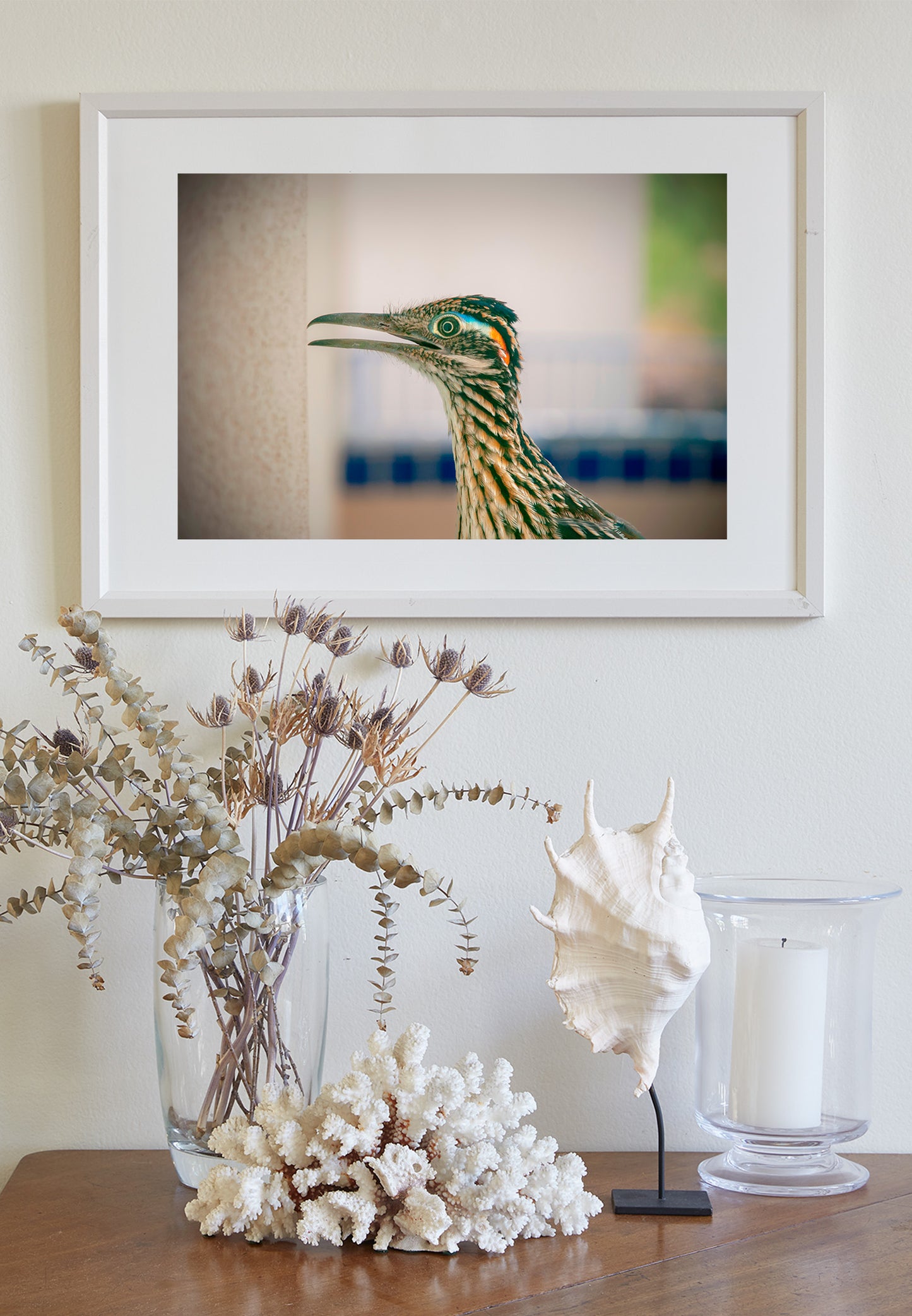 Desert Roadrunner Bird Art Print as Avian Wall Decor