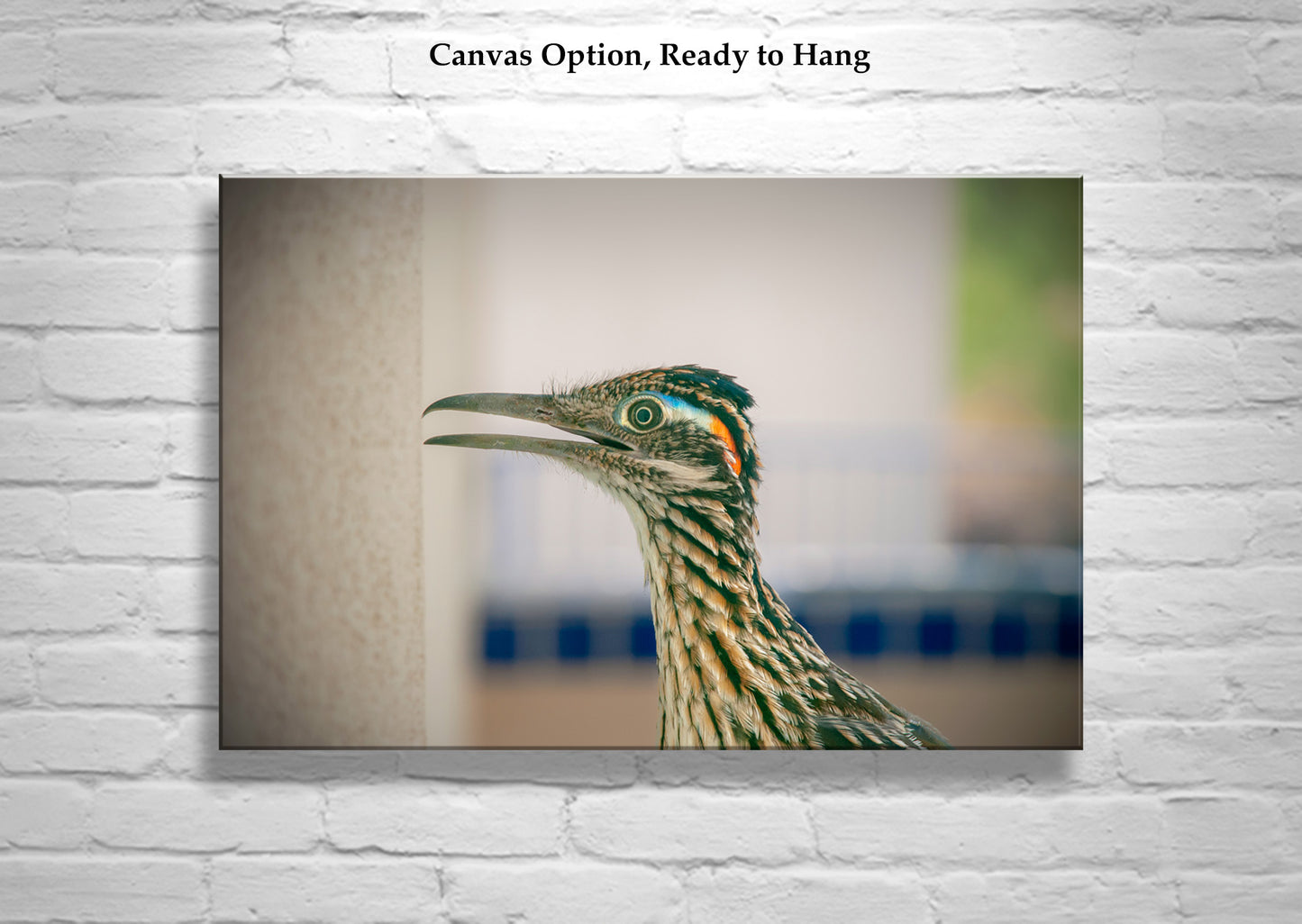 Desert Roadrunner Bird Art Print as Avian Wall Decor