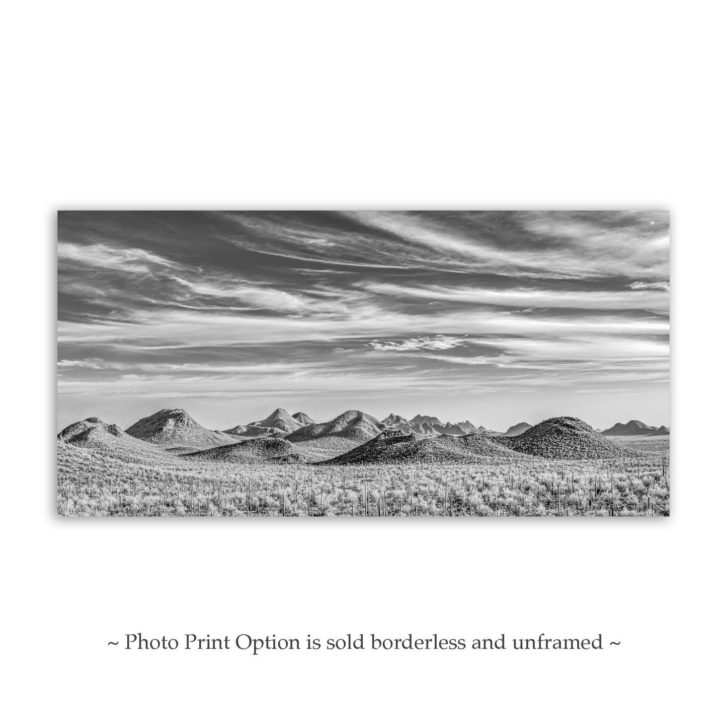 Desert Landscape Panorama Art Print in Black and White | Tucson Arizona Ironwood Forest National Monument Panorama Photograph | Wall Decor Gift