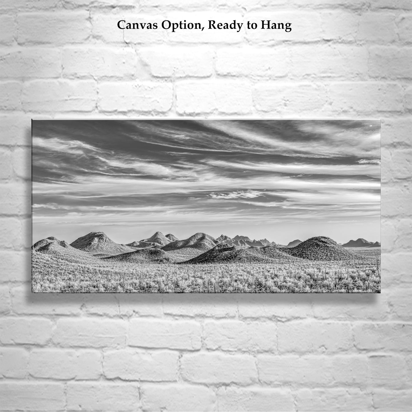 Desert Landscape Panorama Art Print in Black and White | Tucson Arizona Ironwood Forest National Monument Panorama Photograph | Wall Decor Gift