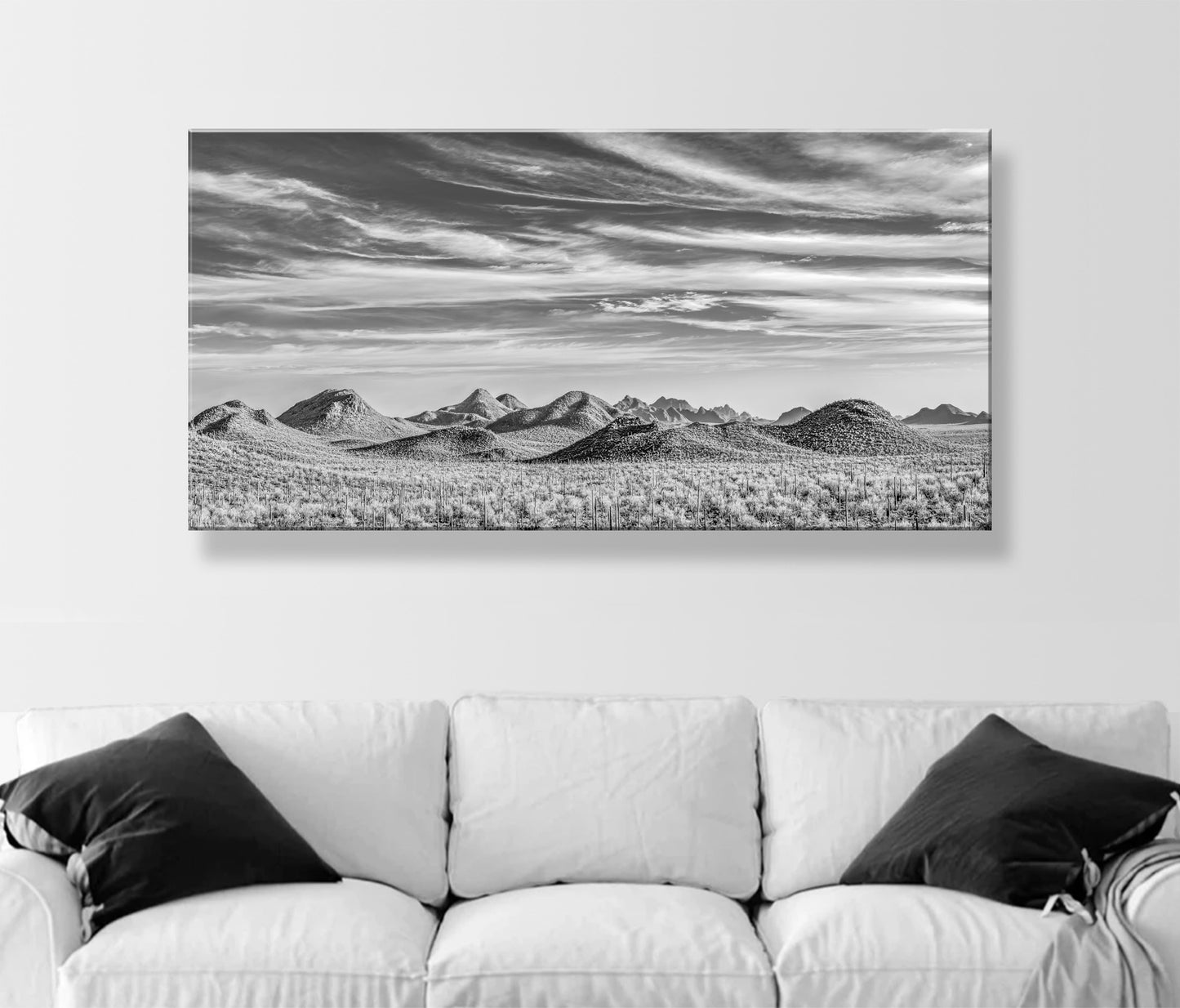 Desert Landscape Panorama Art Print in Black and White | Tucson Arizona Ironwood Forest National Monument Panorama Photograph | Wall Decor Gift