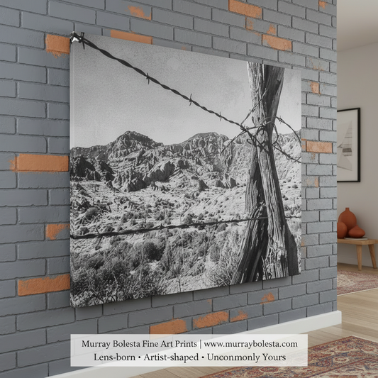Arizona Desert Ranch Landscape Black and White Photography Print