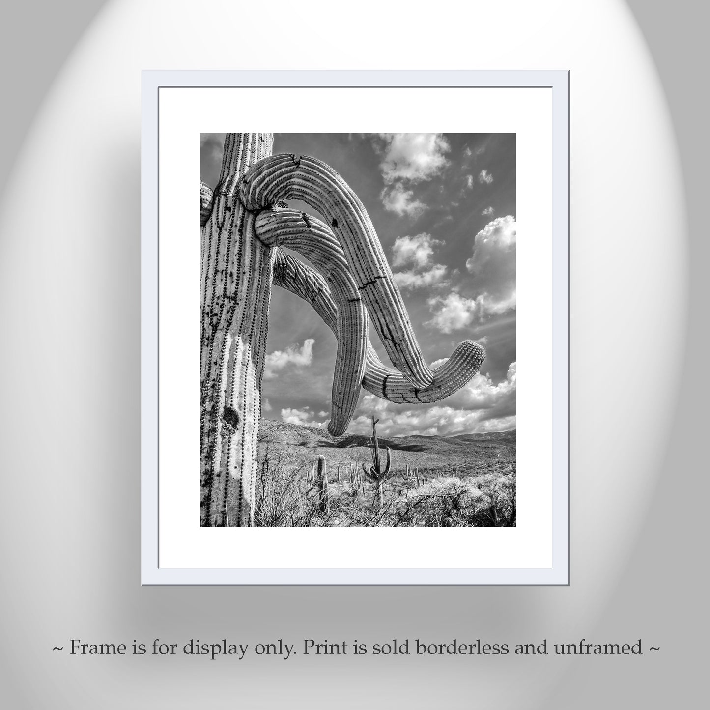 Black and White Arizona Landscape | Saguaro Cactus Photo Art Print
