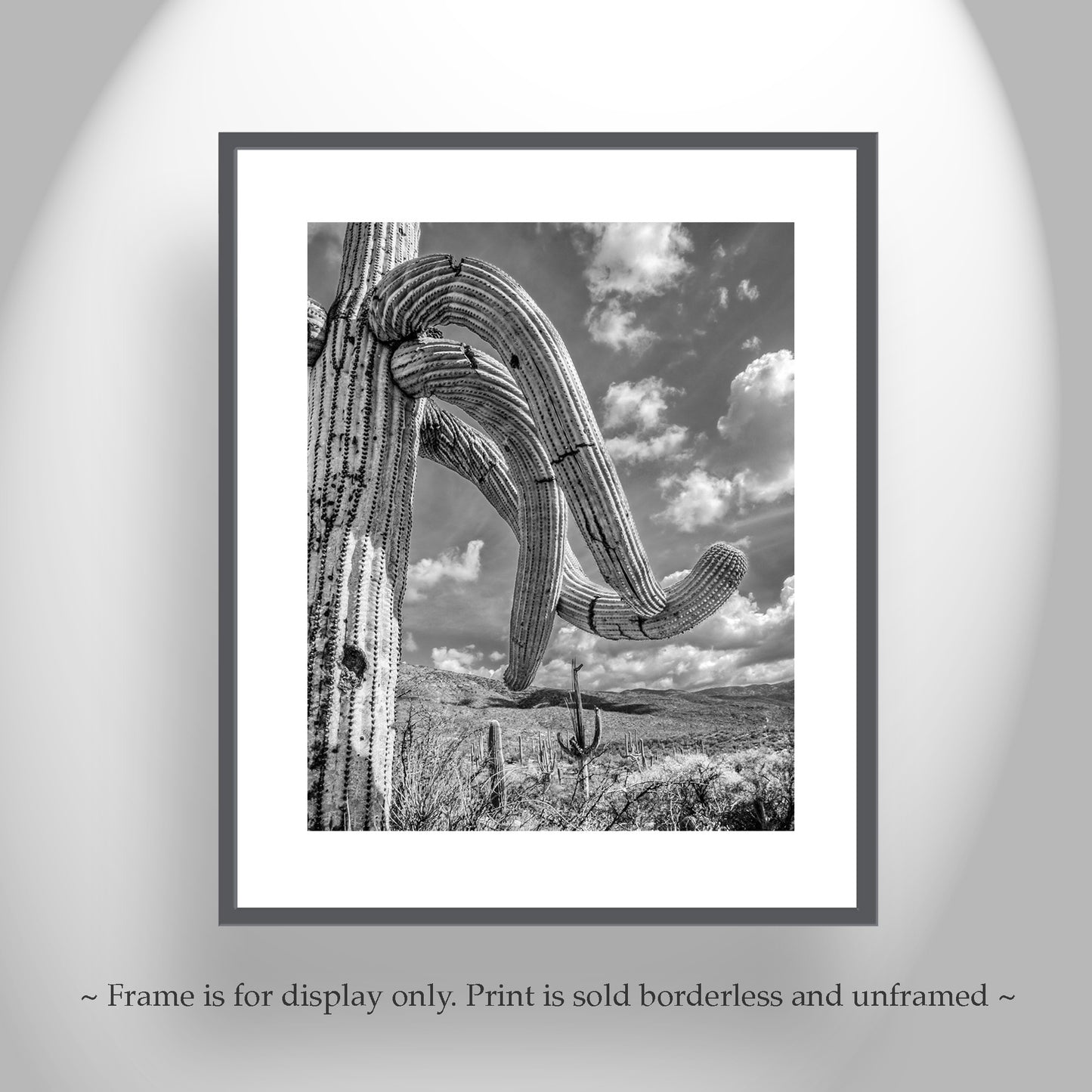 Black and White Arizona Landscape | Saguaro Cactus Photo Art Print