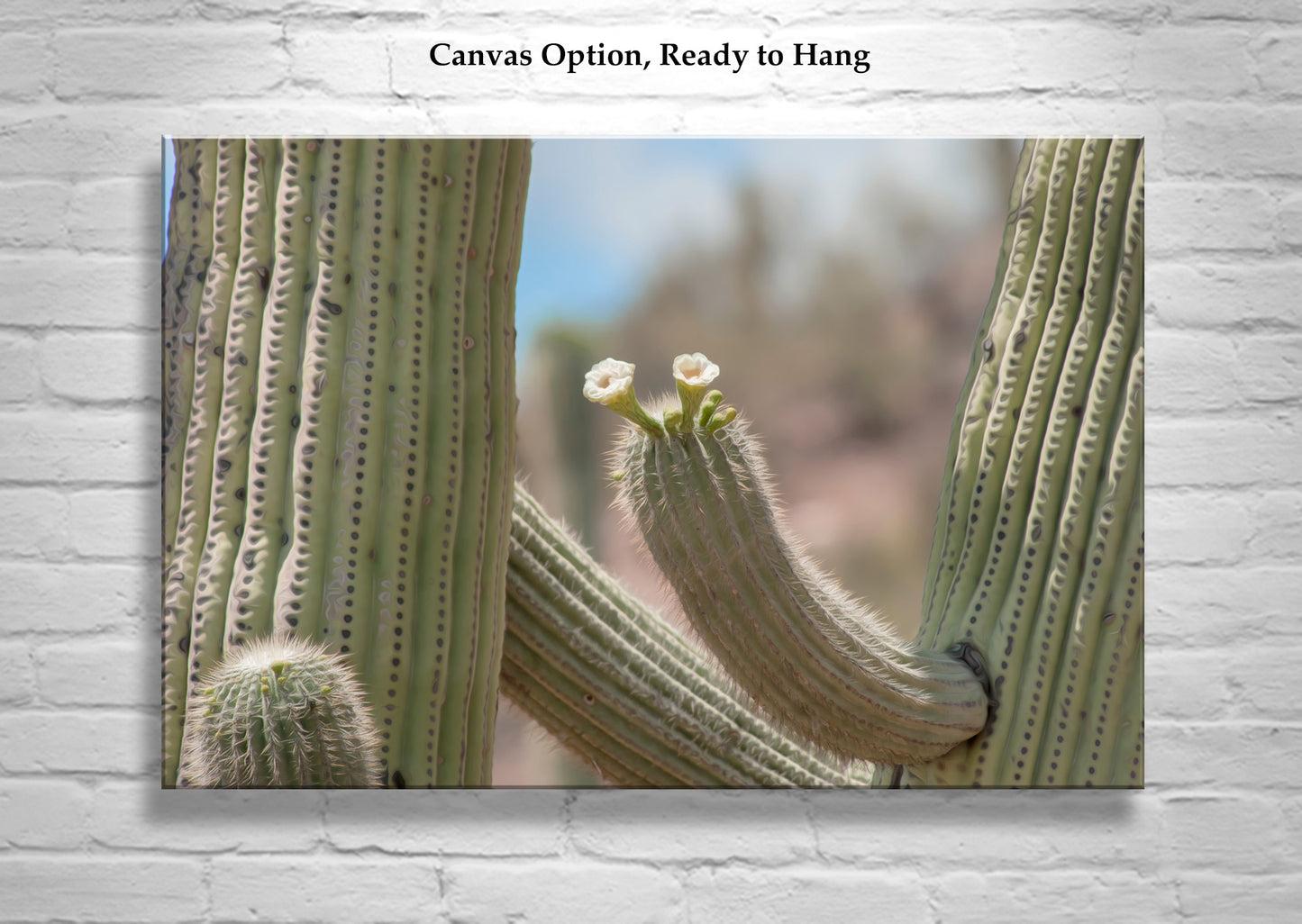 Framed Wall Art with Desert Cactus and Wildflower