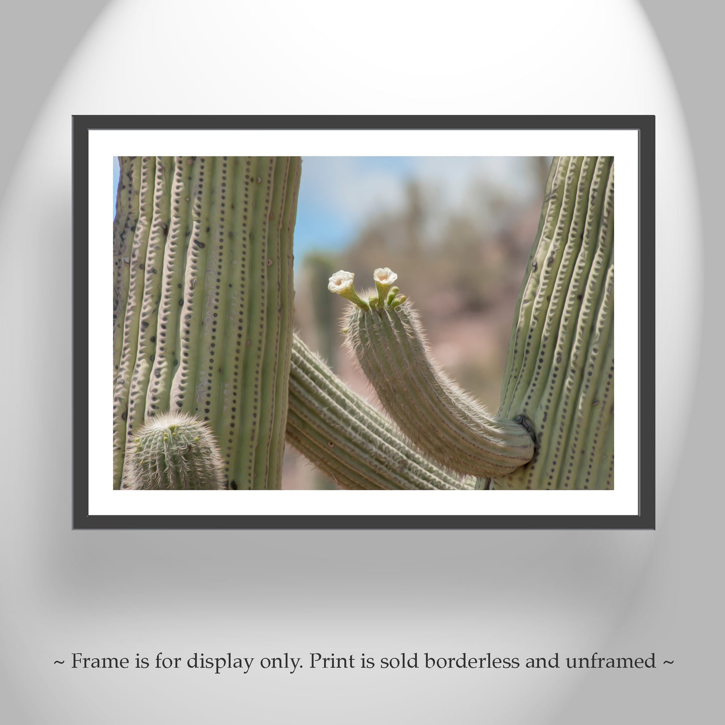 Framed Wall Art with Desert Cactus and Wildflower