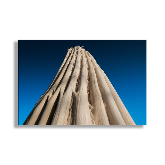A tall, jagged, and weathered tree trunk against a clear blue sky. Abstract Cactus Photography | Indigo Desert Botanical Wall Art