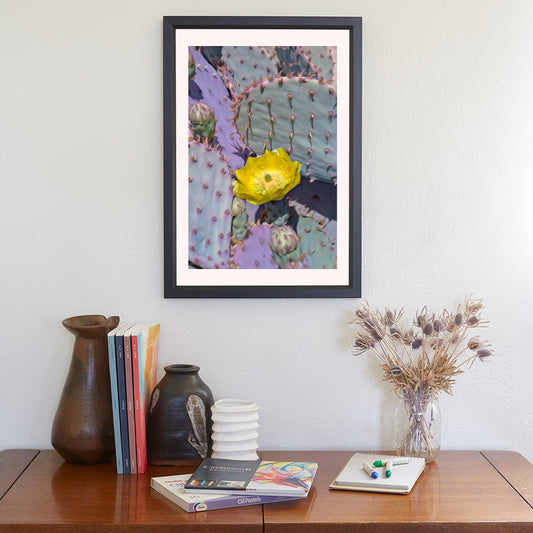 Purple Santa Rita Cactus Flower Art | Prickly Pear Wall Decor