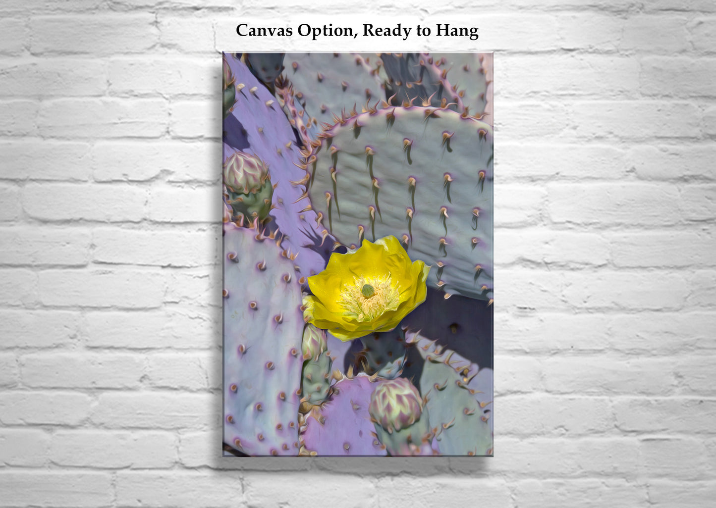 Cactus Wall Decor with Purple Santa Rita Prickly Pear & Cactus Flower