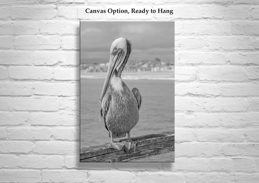 Pelican Art | Black & White Coastal Sea Bird Photography Print
