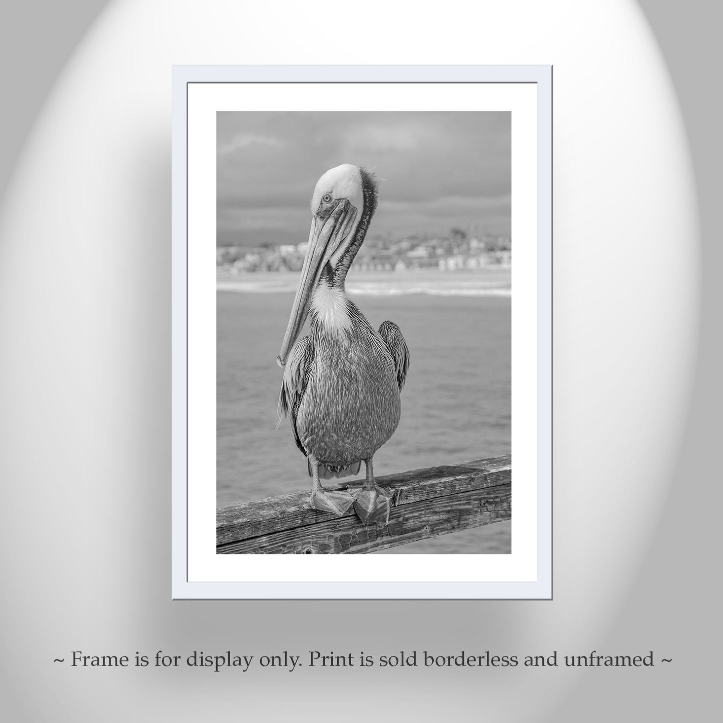 Pelican Sea Bird Art Print in Black and White | Coastal Bird Artwork